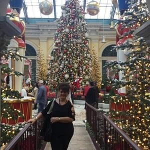 Meet your Posher, Frances